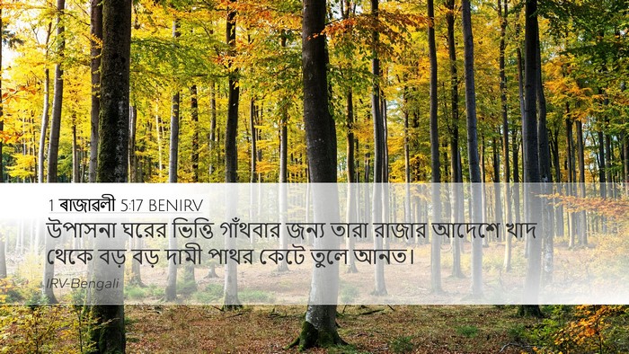 1 ৰাজাৱলী 5:17 BENIRV Bible Verse Image