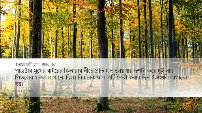 1 ৰাজাৱলী 7:24 BENIRV Bible Verse Image
