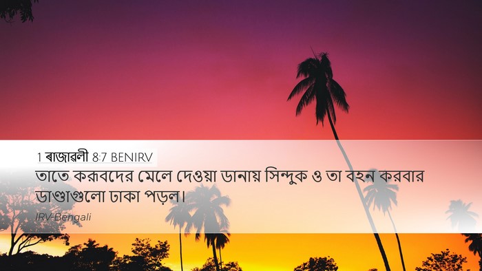 1 ৰাজাৱলী 8:7 BENIRV Desktop Wallpaper - তাতে করূবদের মেলে - Desktop Bible Verse Wallpaper