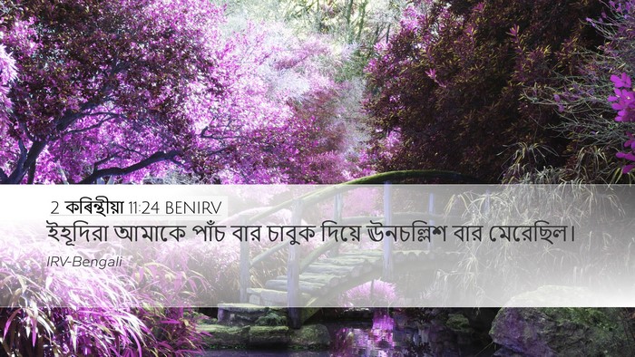 2 কৰিন্থীয়া 11:24 BENIRV Bible Verse Image