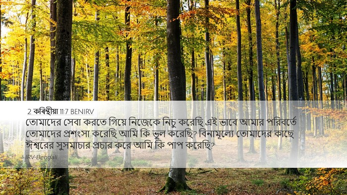2 কৰিন্থীয়া 11:7 BENIRV Desktop Wallpaper - তোমাদের সেবা করতে - Desktop Bible Verse Wallpaper