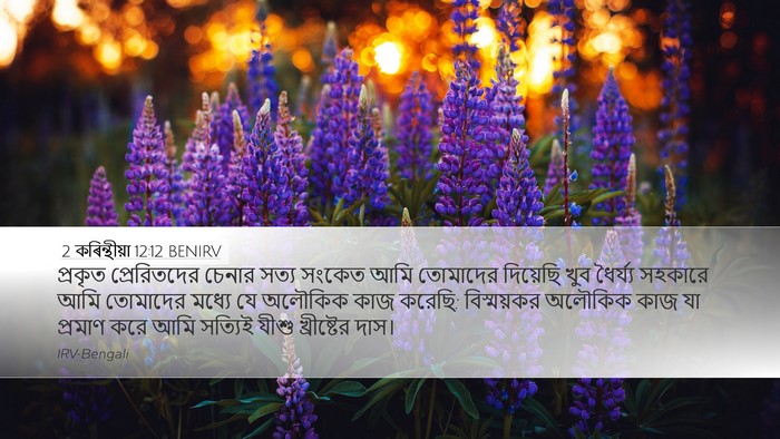 2 কৰিন্থীয়া 12:12 BENIRV Bible Verse Image