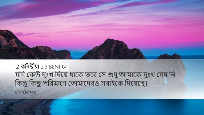 2 কৰিন্থীয়া 2:5 BENIRV Desktop Wallpaper - যদি কেউ দুঃখ দিয়ে - Desktop Bible Verse Wallpaper