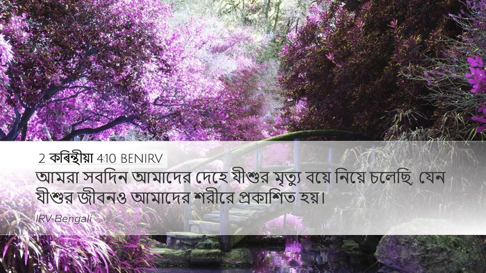 2 কৰিন্থীয়া 4:10 BENIRV Bible Verse Image