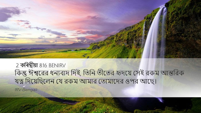 2 কৰিন্থীয়া 8:16 BENIRV Bible Verse Image