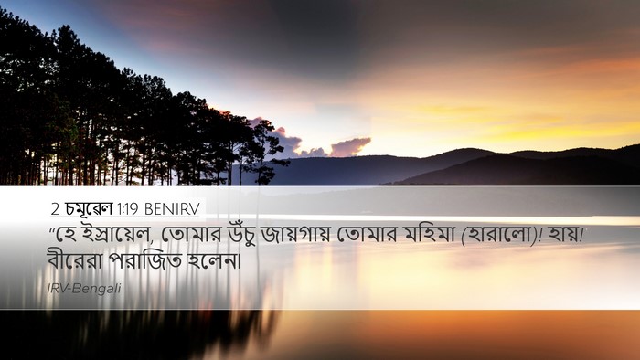 2 চমূৱেল 1:19 BENIRV Bible Verse Image