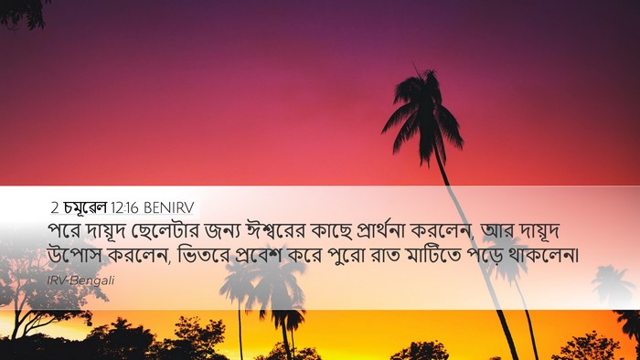 2 চমূৱেল 12:16 BENIRV Bible Verse Image