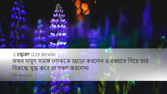 2 চমূৱেল 12:29 BENIRV Bible Verse Image