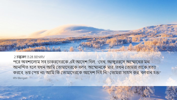 2 চমূৱেল 13:28 BENIRV Bible Verse Image