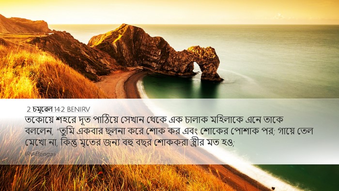 2 চমূৱেল 14:2 BENIRV Bible Verse Image