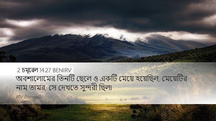 2 চমূৱেল 14:27 BENIRV Bible Verse Image