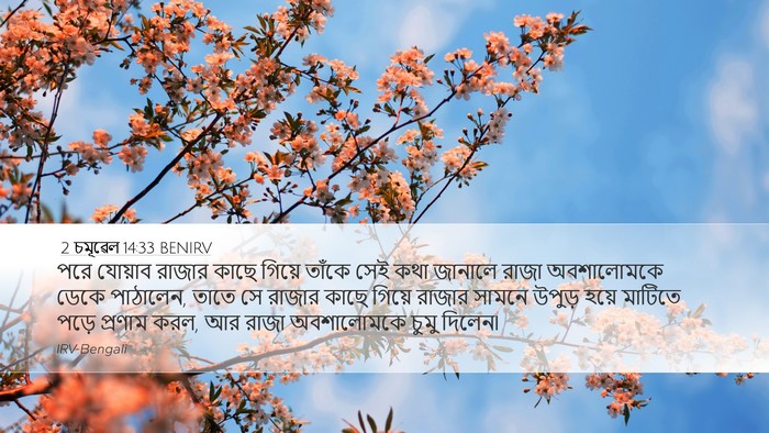 2 চমূৱেল 14:33 BENIRV Bible Verse Image