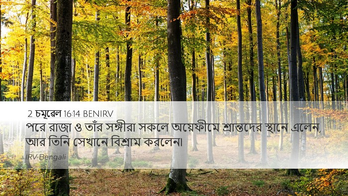 2 চমূৱেল 16:14 BENIRV Bible Verse Image
