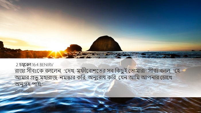 2 চমূৱেল 16:4 BENIRV Bible Verse Image