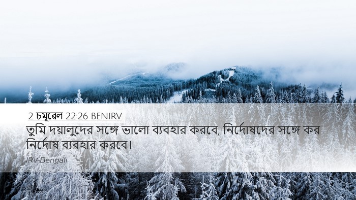 2 চমূৱেল 22:26 BENIRV Bible Verse Image