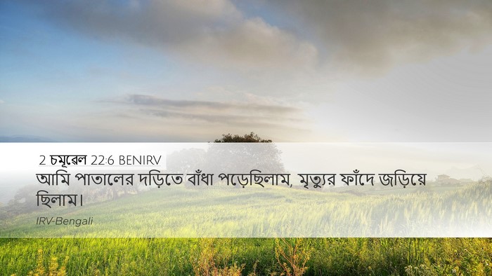 2 চমূৱেল 22:6 BENIRV Desktop Wallpaper - আমি পাতালের - Desktop Bible Verse Wallpaper