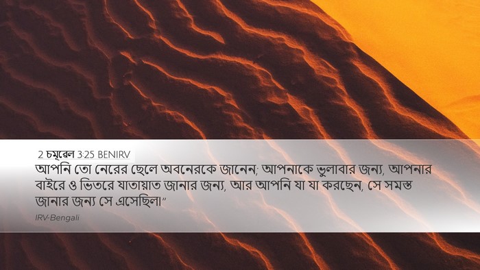 2 চমূৱেল 3:25 BENIRV Desktop Wallpaper - আপনি তো নেরের ছেলে - Desktop Bible Verse Wallpaper