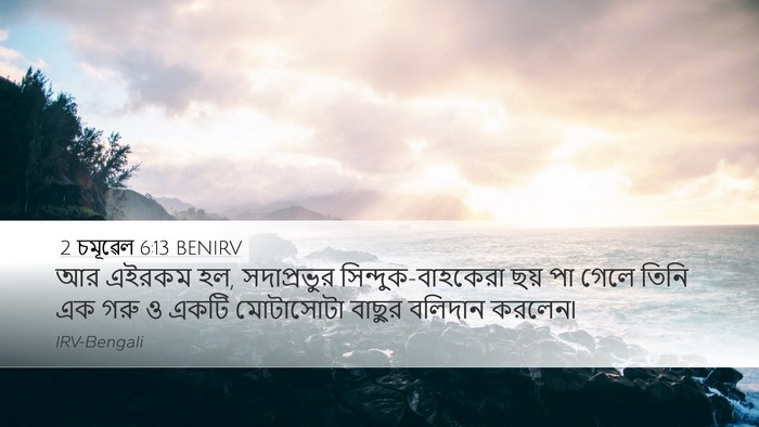 2 চমূৱেল 6:13 BENIRV Bible Verse Image