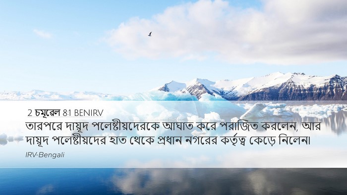 2 চমূৱেল 8:1 BENIRV Bible Verse Image