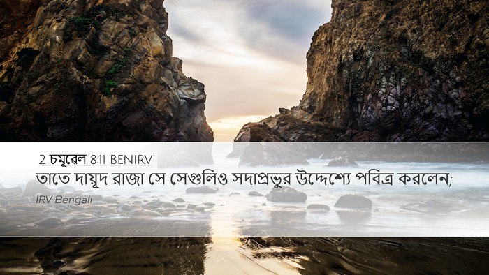 2 চমূৱেল 8:11 BENIRV Bible Verse Image