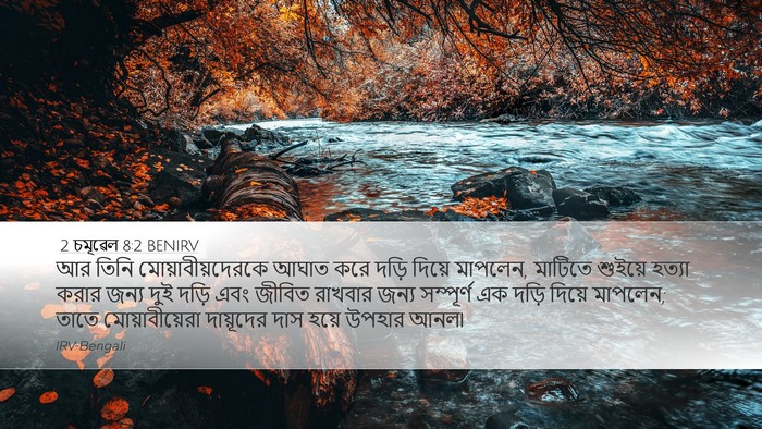 2 চমূৱেল 8:2 BENIRV Bible Verse Image