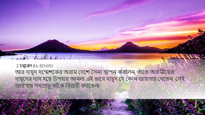 2 চমূৱেল 8:6 BENIRV Bible Verse Image