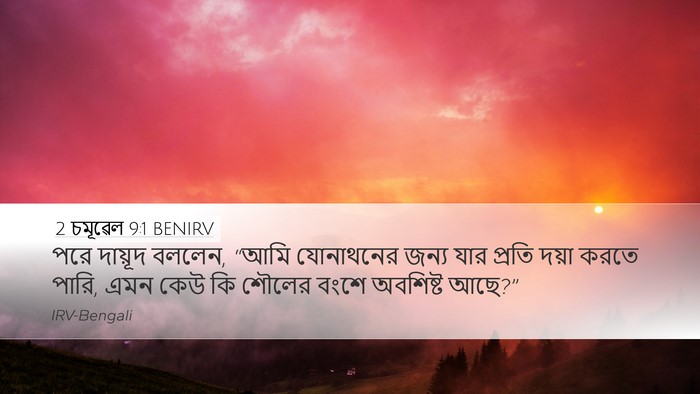 2 চমূৱেল 9:1 BENIRV Bible Verse Image