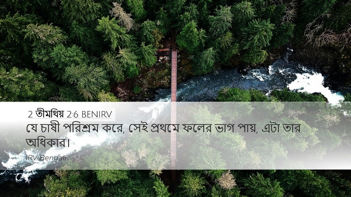 2 তীমথিয় 2:6 BENIRV Bible Verse Image