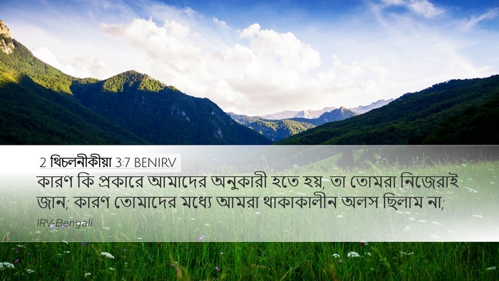2 থিচলনীকীয়া 3:7 BENIRV Bible Verse Image