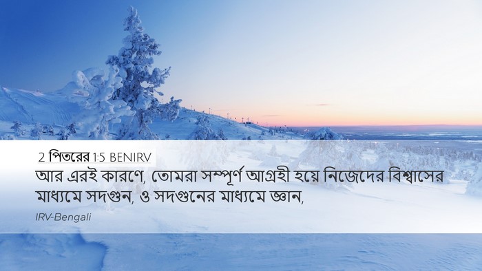 2 পিতরের 1:5 BENIRV Desktop Wallpaper - আর এরই কারণে, তোমরা - Desktop Bible Verse Wallpaper