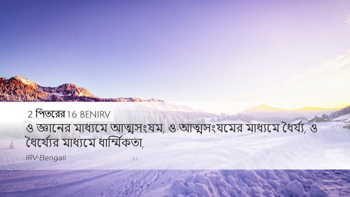 2 পিতরের 1:6 BENIRV Desktop Wallpaper - ও জ্ঞানের মাধ্যমে - Desktop Bible Verse Wallpaper