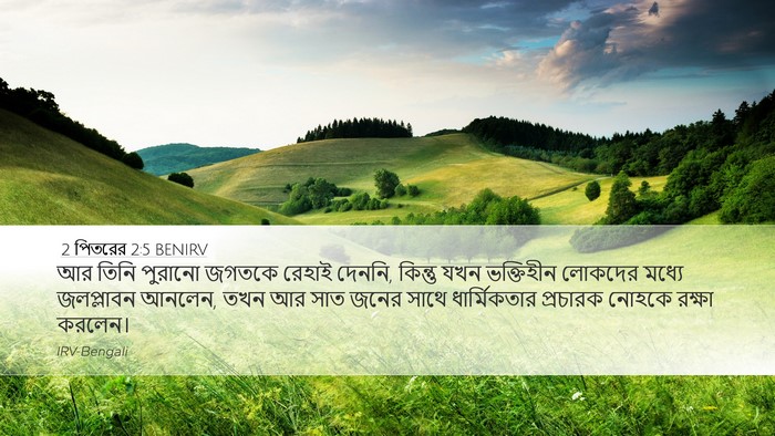 2 পিতরের 2:5 BENIRV Bible Verse Image
