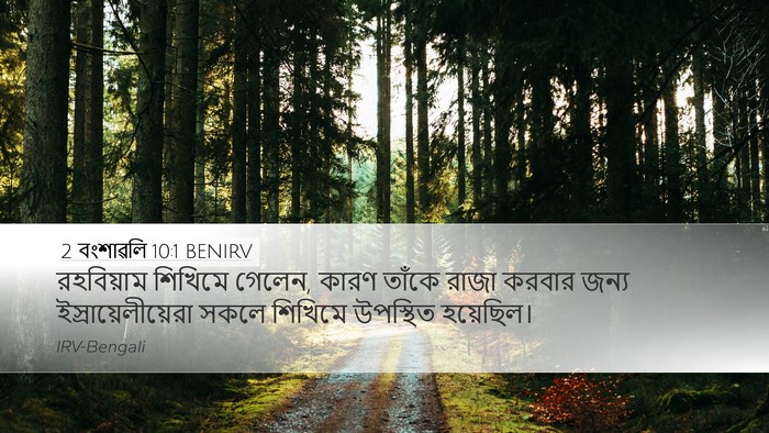 2 বংশাৱলি 10:1 BENIRV Bible Verse Image