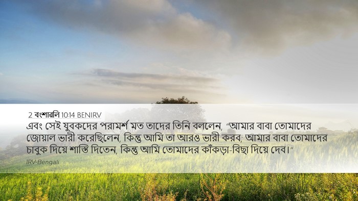 2 বংশাৱলি 10:14 BENIRV Desktop Wallpaper - এবং সেই যুবকদের - Desktop Bible Verse Wallpaper