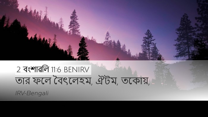 2 বংশাৱলি 11:6 BENIRV Bible Verse Image