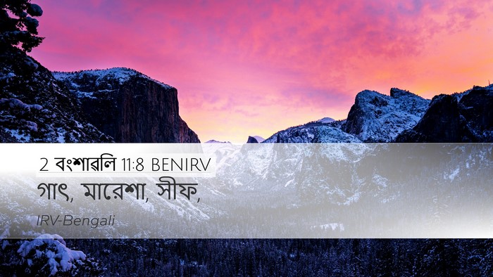 2 বংশাৱলি 11:8 BENIRV Desktop Wallpaper - গাৎ, মারেশা, - Desktop Bible Verse Wallpaper