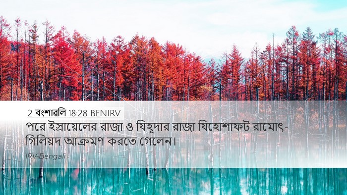 2 বংশাৱলি 18:28 BENIRV Desktop Wallpaper - পরে ইস্রায়েলের - Desktop Bible Verse Wallpaper
