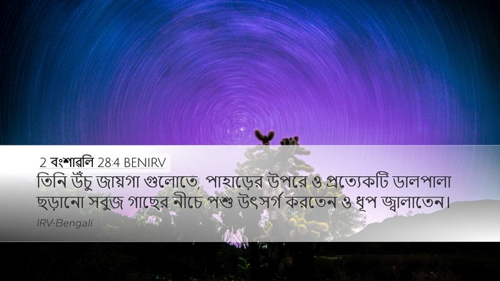 2 বংশাৱলি 28:4 BENIRV Bible Verse Image
