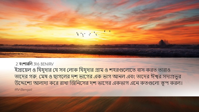 2 বংশাৱলি 31:6 BENIRV Bible Verse Image