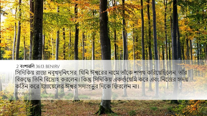 2 বংশাৱলি 36:13 BENIRV Bible Verse Image