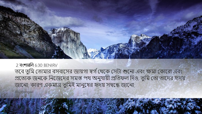 2 বংশাৱলি 6:30 BENIRV Bible Verse Image