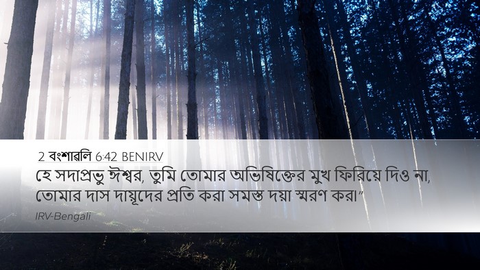 2 বংশাৱলি 6:42 BENIRV Bible Verse Image