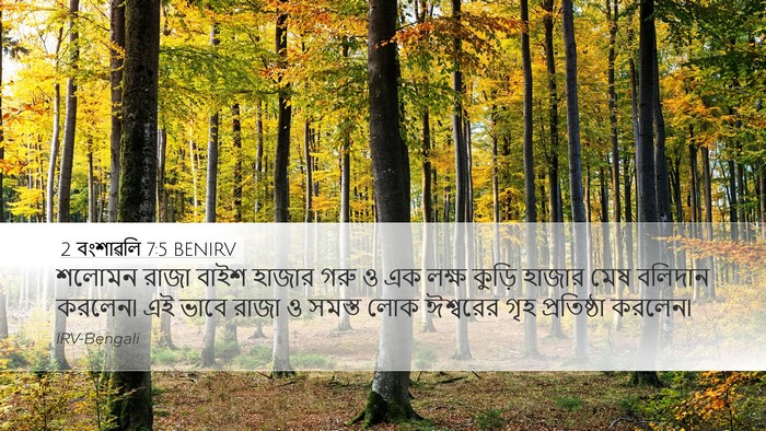 2 বংশাৱলি 7:5 BENIRV Bible Verse Image