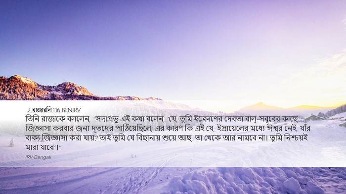 2 ৰাজাৱলি 1:16 BENIRV Bible Verse Image