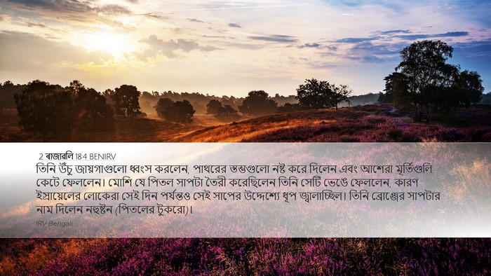 2 ৰাজাৱলি 18:4 BENIRV Bible Verse Image