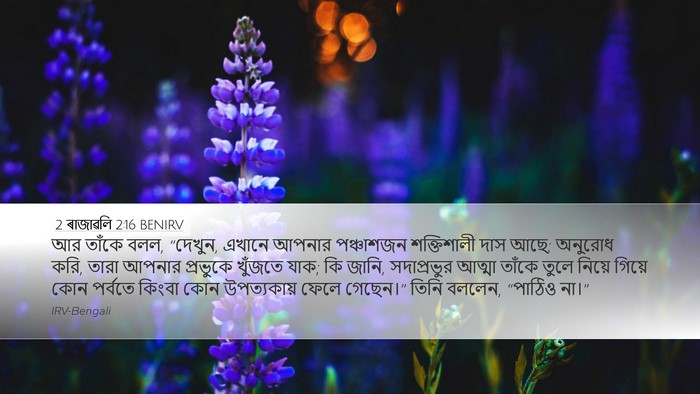 2 ৰাজাৱলি 2:16 BENIRV Bible Verse Image