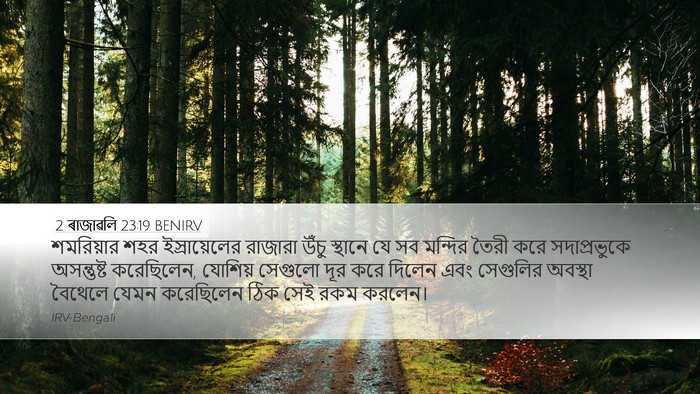 2 ৰাজাৱলি 23:19 BENIRV Bible Verse Image