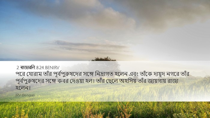 2 ৰাজাৱলি 8:24 BENIRV Bible Verse Image
