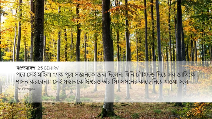 पপ্রত্যাদেশ 12:5 BENIRV Bible Verse Image