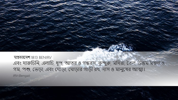 पপ্রত্যাদেশ 18:13 BENIRV Bible Verse Image